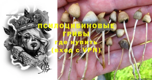 гашик Балахна