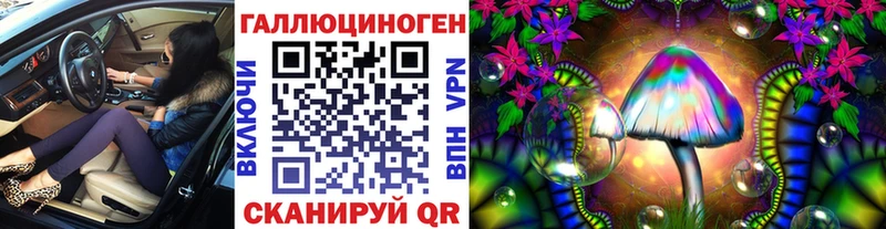 как найти закладки  Бирюсинск  Псилоцибиновые грибы Psilocybine cubensis 