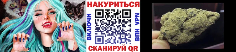 где продают наркотики  Бирюсинск  Марихуана сатива 